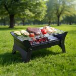 باربیکیو و کباب پز ذغالی گرین لاین 092650 Green Lion Qudra Foldable BBQ Grill – Black